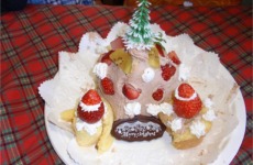 2009年のキッズクリスマスケーキ